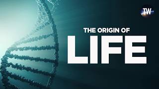 How Did Life on Earth Begin?