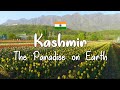 Kashmir family tour | Sri Nagar, Pahelgam, Sona marg, Gul marg, Tulip gardens