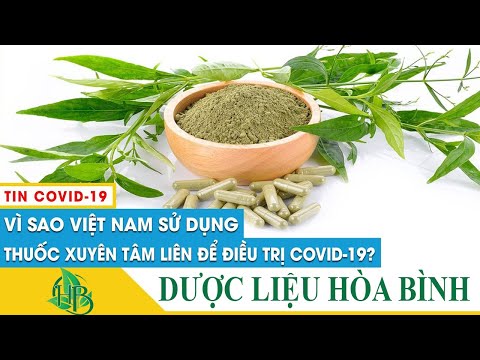 Lương y chia sẻ cách dùng Xuyên tâm liên chữa trị COVID-19