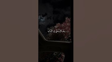 تلاوة يطمئن لها قلبك بصوت الشيخ ماهر المعيقلي ارح سمعك ♡ #ماهر_المعيقلي​ #قرآن_كريم