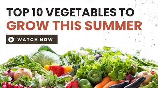 The Top 10 Vegetables To Grow This Summer