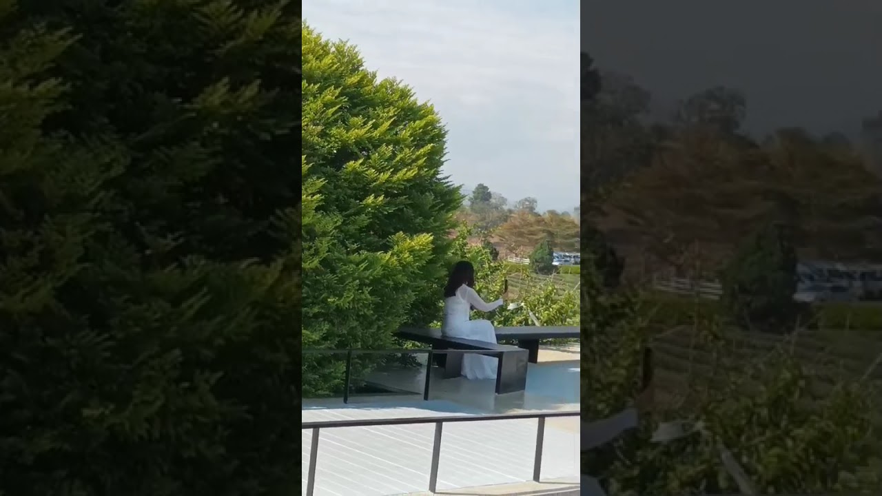 ไร่ชาฉุยฟง 24-1-69