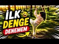 Basit bir denge deneyimi