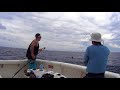 Fly fishing blue marlin exmouth wa with peak sportfishing