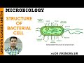 Structure of Bacterial Cell | Microbiology |