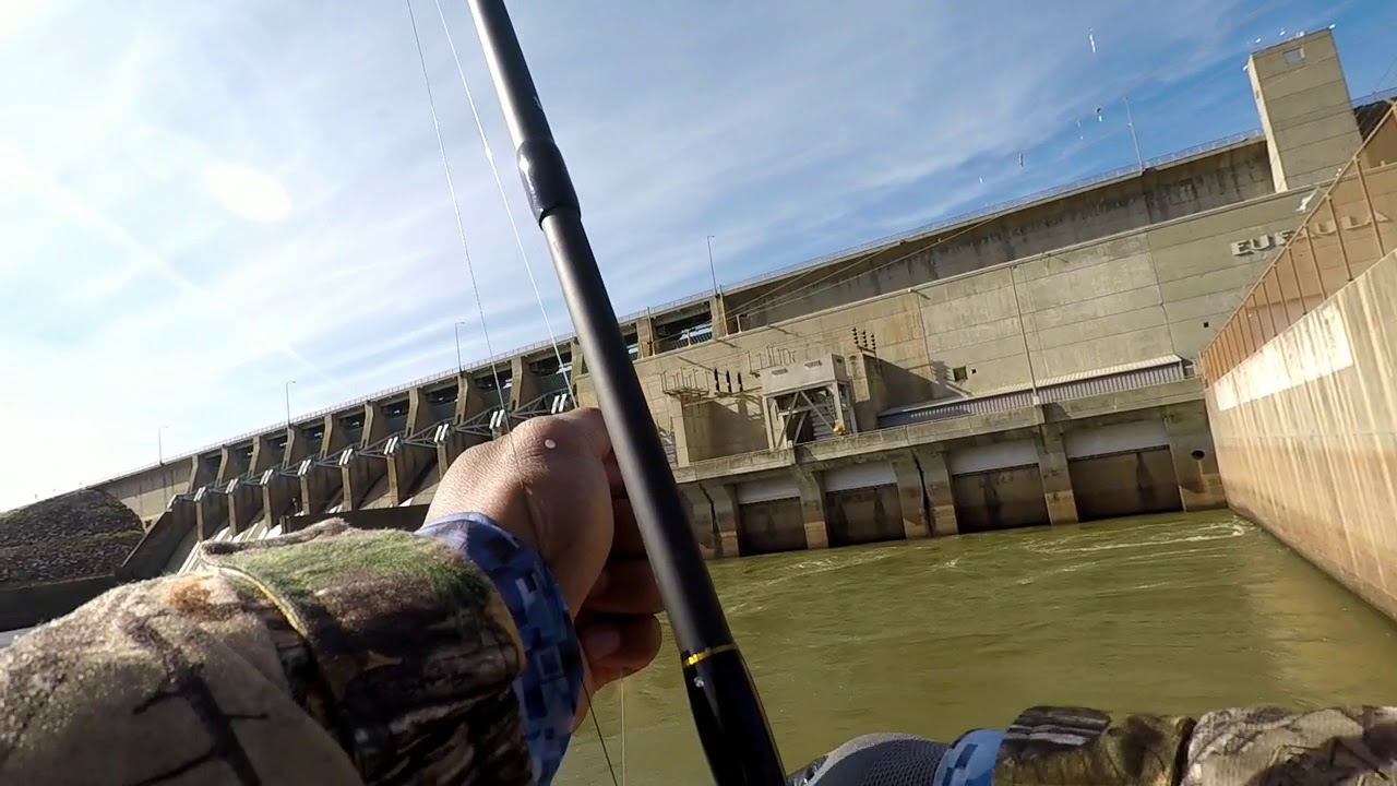 Fall Striped Bass And Sand Bass Fishing Below Dam Youtube