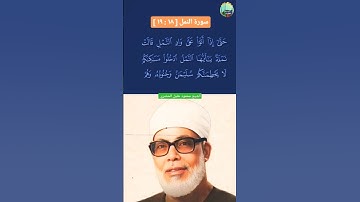 ﷽ ﴿حَتَّىٰٓ إِذَآ أَتَوۡاْ عَلَىٰ وَادِ ٱلنَّمۡلِ﴾[سورة النمل:17] | الشيخ محمود خليل الحصري