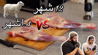 خروف صغير VS خروف كبير | small sheep VS  big sheep