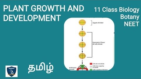 Plant  Growth and Development in Tamil | Plant Growth and Development | Botany I Class 11 | NEET