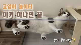 고양이 키우는 집사 필수 시청(캣워커 설치 후기)