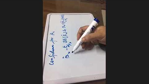 econometrics  Chapter 8(19 May )