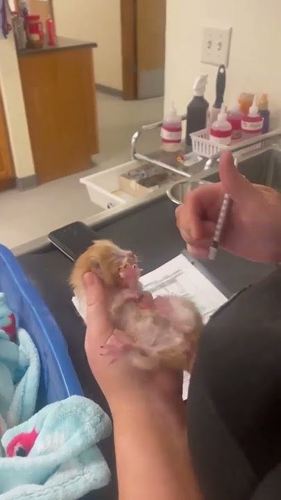 435569043 7490785044277947 9058238621102214477 n