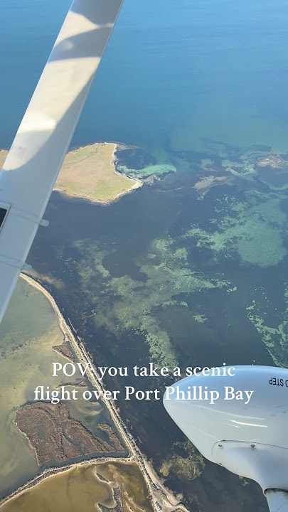 Port Phillip Bay scenic flight - the best way to see Melbourne/Geelong ✈️ #portphillipbay #melbourne