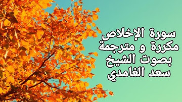 سورة الإخلاص مكررة و مترجمة بصوت الشيخ سعد الغامدي  Surat Al Ikhlas Duplicate and translated