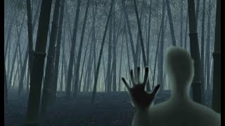 Лощина Черного Бамбука - самое страшное и аномальное место на планете ➤ #паранормальное #мистика