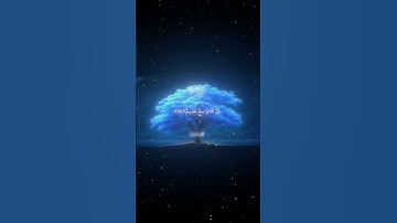 سورة البقرة|115-116|القارئ:#محمد_اللحيدان #قران #quran #راحة_نفسية#قران_كريم#تلاوة_هادئة#تلاوة_خاشعة