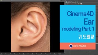 Cinema4D Tutorial 62강] Ear modeling Part 1 / 귀 모델링 / C4D modeling / 시포디모델링 [맨땅그래픽]