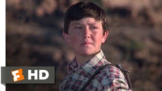 The Black Stallion Returns (1983) - He Belongs Here Scene (12\/12) | Movieclips