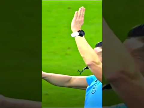 عجز لساني عن وصف هذه القطة