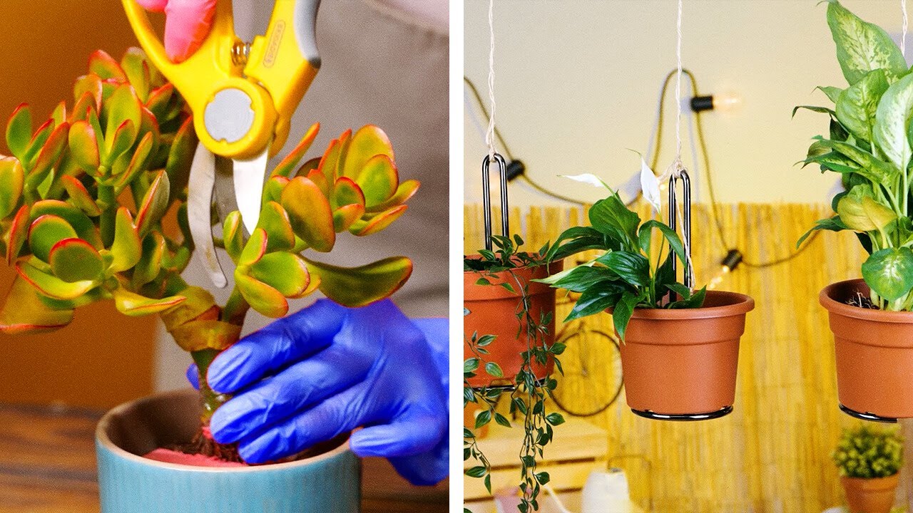 5 AMAZING TIPS TO MAKE YOUR GARDEN LOOK AMAZING YouTube 5-amazing-tips-to-make-your-garden-look-amazing-youtube