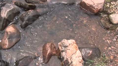 Introduction to Macoinvertebrate Sampling