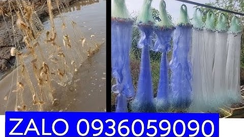 Bán lưới cá lòng tong. Bán lưới 3 màn.