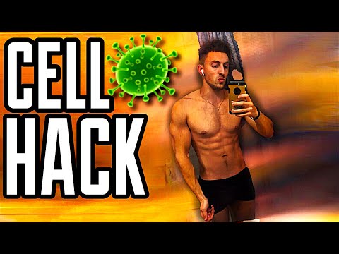 mindblowing-mitochondria-hack!-biohacking-secret!-boost-your-mitochondria-with-keto-&-fasting-(2020)