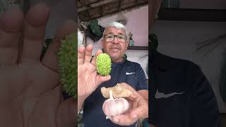 chá ☕ maxixe gengibre e alho