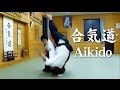 合気道‐技紹介　Aikido Techniques
