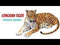 Panthera zdanskyi || Longdan Tiger || The Most Primitive Pantherine