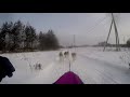 Трасса ЧЛО 5 км (2ки)