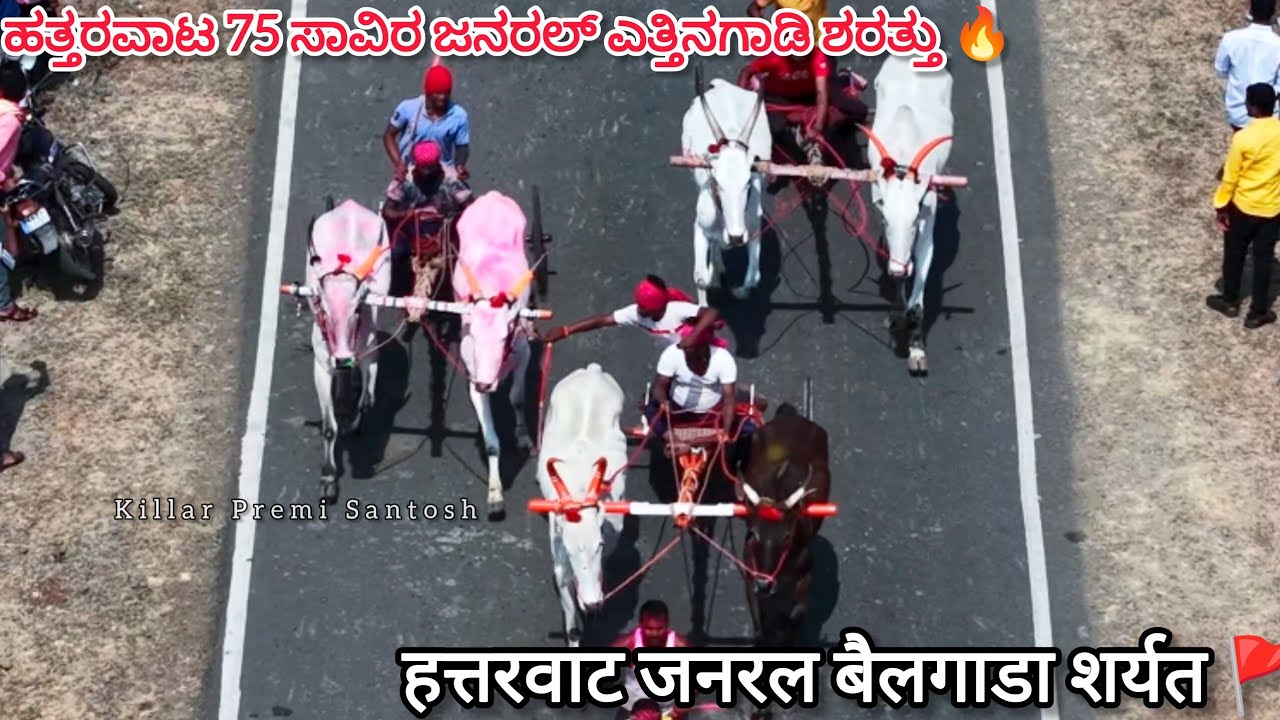 ಹತ್ತರವಾಟ 75 ಸಾವಿರ ಜನರಲ್ ಎತ್ತಿನಗಾಡಿ ಶರತ್ತು || हत्तरवाट जनरल बैलगाडा शर्यत 🔥🚩#drone #bailgadasharyat 