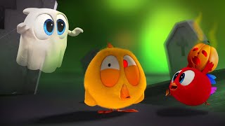 Halloween Party | Where's Chicky? | Cartoon Collection In English For Kids | New Episodes