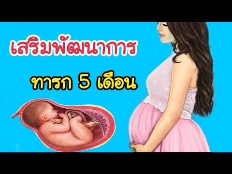 อาหารคนท้อง : เมนูอาหารคนท้องแต่ละไตรมาส!! | เมนูคนท้อง | คนท้อง Everything. 