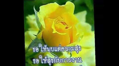 สวัสดีวันจันทร์:: เสน่หา