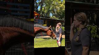 Doma cavalo 💞🐴 #equitação #mangalarga #vaquejada #equitação #horse #hipismo #cavalo #agro #cavalgada