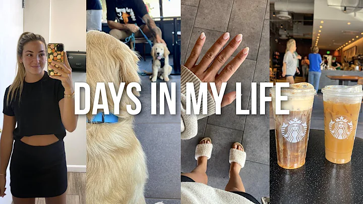 VLOG: getting my eyebrows microbladed, grocery hau...