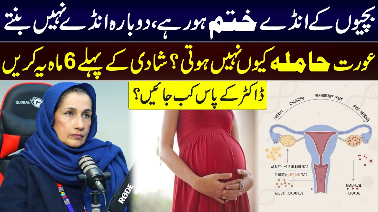 Женщины рождаются с ограниченным количеством яйцеклеток | Почему они не регенерируют? Объяснение ...