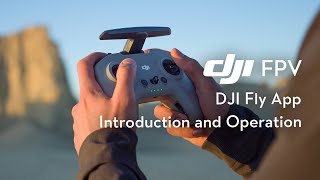 DJI FPV |  How to Use DJI Fly App and Update the Firmware screenshot 4