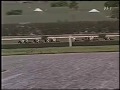 1999年 第1回 BCフィリー&amp;メアターフ - ソアリングソフトリー(Soaring Softly)