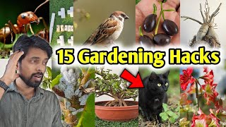 Top 15 Gardening Hacks you must know, DIY Home garden ideas (part-2) by The One Page 37,920 views 4 months ago 18 minutes