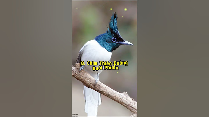 Top 10 Loài Chim Quý Hiếm Trong Sách Đỏ Việt Nam #shorts #birds