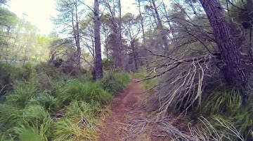 Gopro Hero3 + Steadicam Smoothee test #1