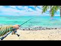 Fishing adventure in paradise