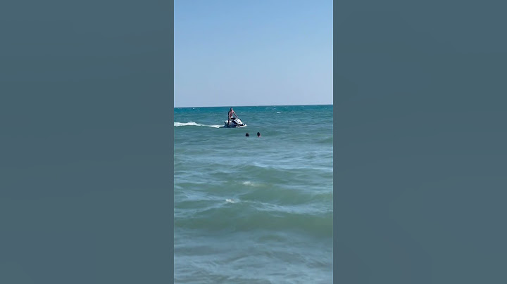 Napad ajkule u Crnoj Gori #shark #crnagora #ulcinj #travel #budva