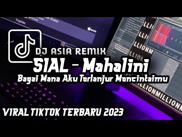 DJ SIAL - MAHALINI - BAGAIMANA DENGAN AKU TERLANJUR MENCINTAIMU REMIX FULL BEAT  TIKTOK TERBARU 2023 class=