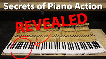 Secrets of Piano Action Revealed | Philadelphia, King of Prussia, PA