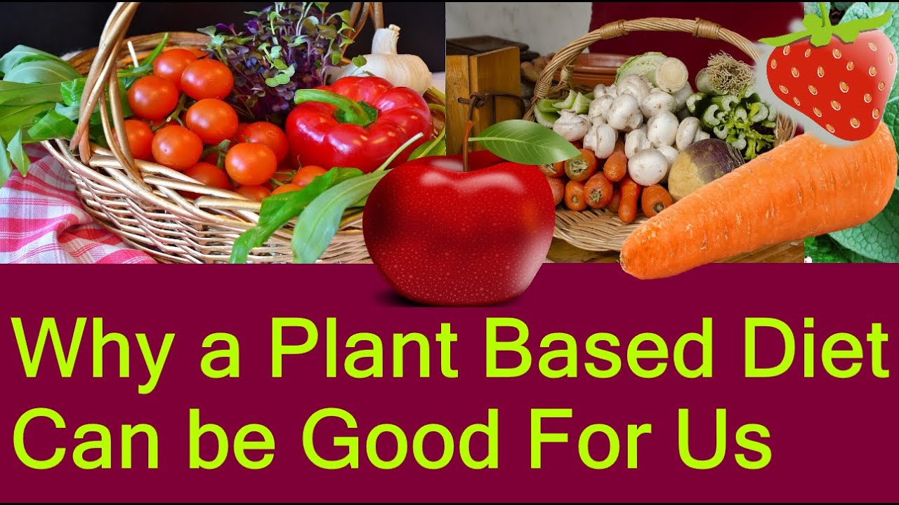 How and Why an Organic 