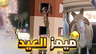 MOROCCAN MEMES COMPILATION | ميمز مغربي ?? | ميمز العيد ??