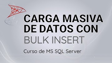 Importar datos con bulk insert en MS SQL Server / bulk insert in SQL Server
